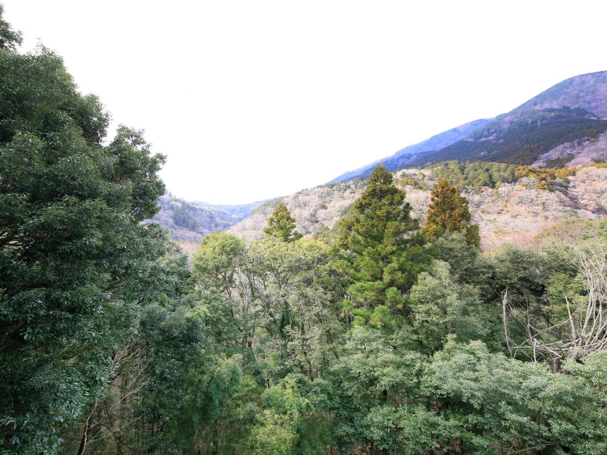 Hot Spring Inn Hakone Suisen ภายนอก รูปภาพ