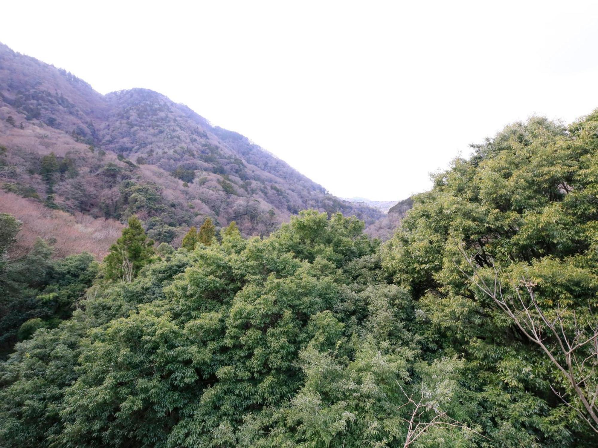 Hot Spring Inn Hakone Suisen ภายนอก รูปภาพ
